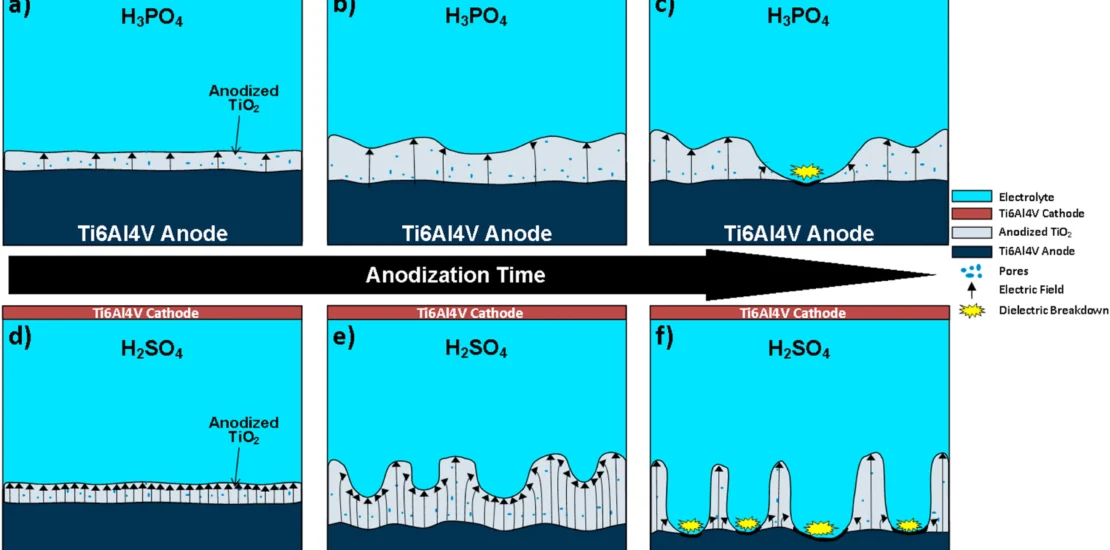 Mechanisms of anodization of Ti6Al4V as a function of time