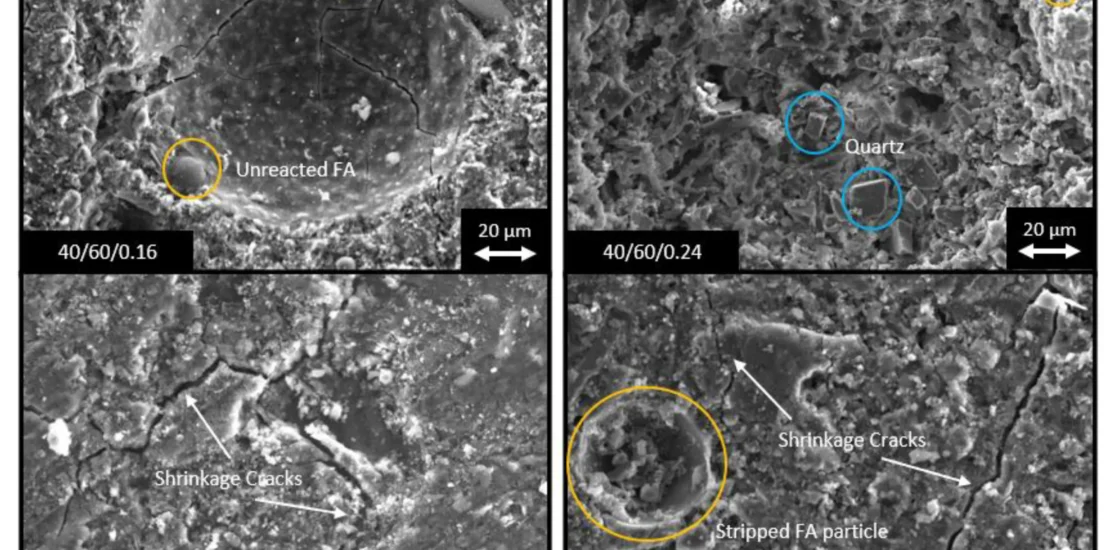 Secondary electron SEM images