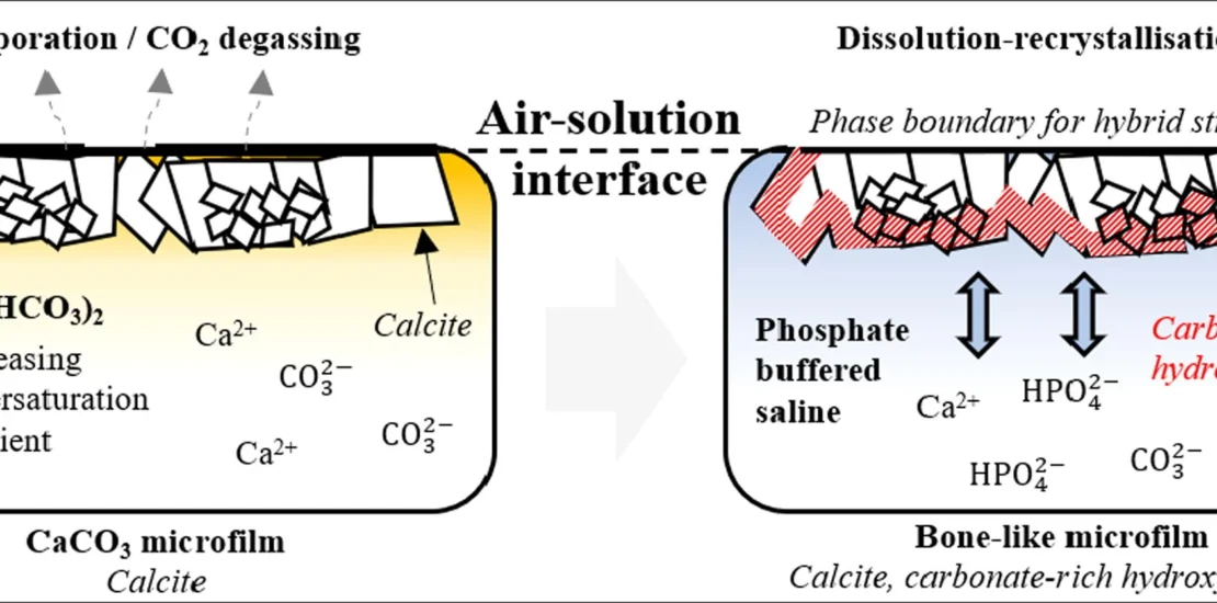 Graphical abstract