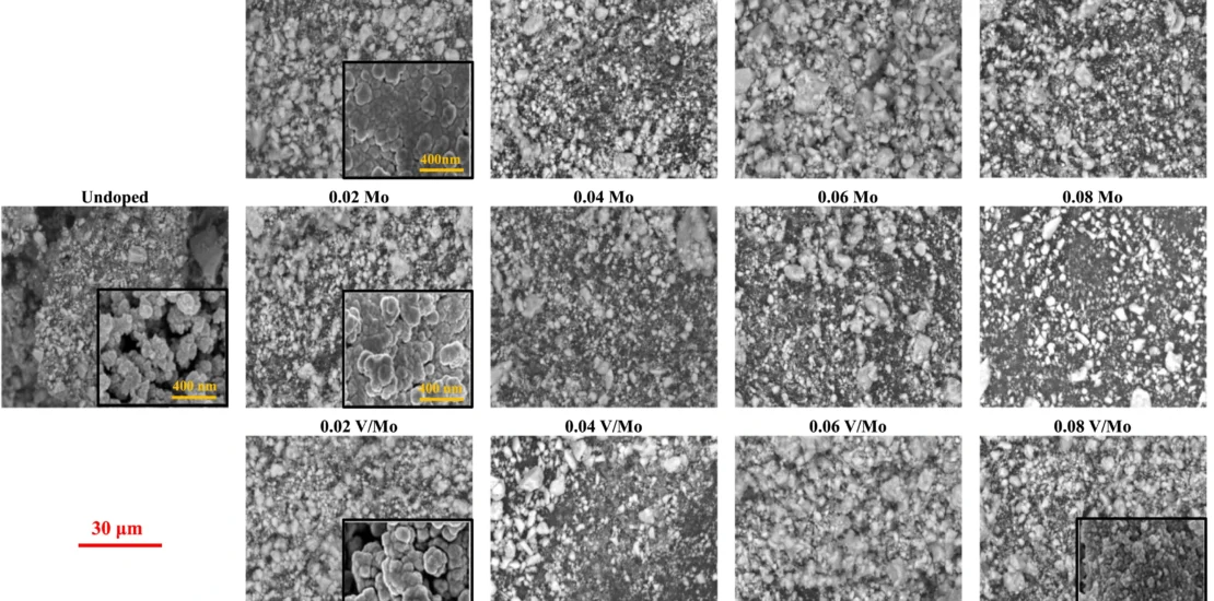 FESEM images of TiO2 powders