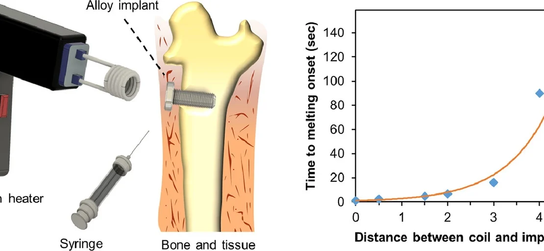 Graphical abstract