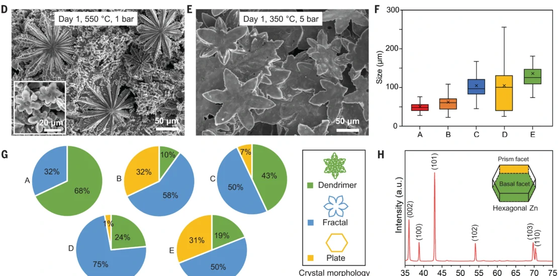 Characterizations of Zn crystals extracted from liquid Zn10Ga90 alloy