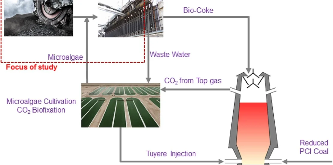 Integration of Microalgae CO2 Bio-fixation with BF/BOF Ironmaking