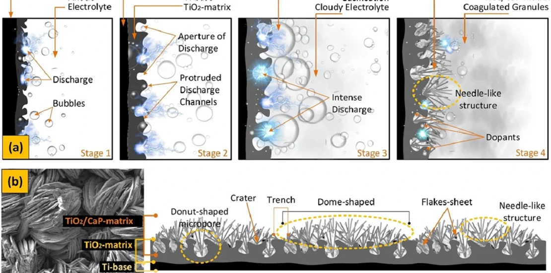 Graphical abstract