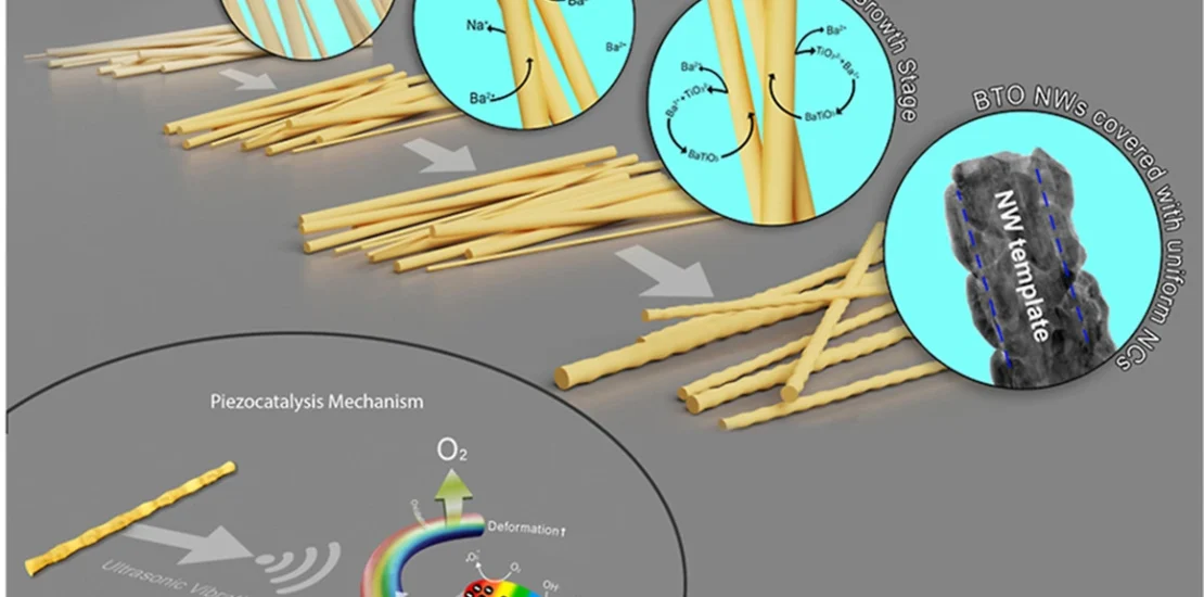 Graphical abstract